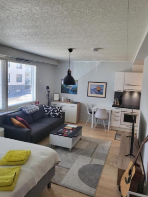 Cozy studio in the city center